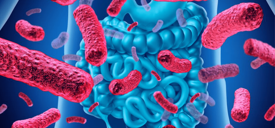Bacteria Illustration