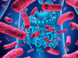 Bacteria Illustration-The image of bacteria and digestive system