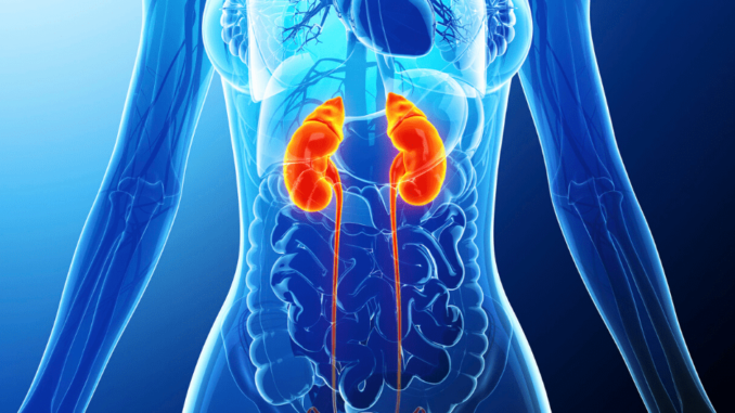 Preventing and Treating Urinary Tract Infections with Cranberry Capsules-COH-min