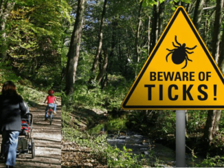 A sign of beware of ticks and 2 people in the park