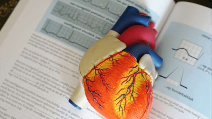 Generic_Xarelto- Healthylivinglinks Generic_Xarelto- a model of heart laying above a book