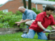 A father and a boy taking care the garden.